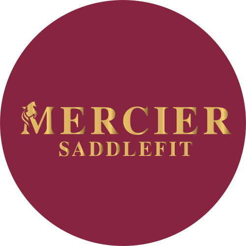 Mercier Saddlefit